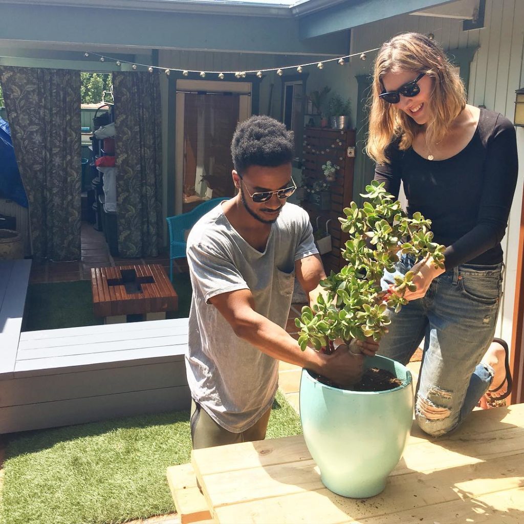 @thehorticult: Meet our friends Mani and Angela. We’re currently transforming their Hollywood H…