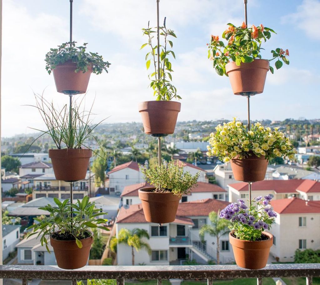 @thehorticult: Want to turn your pots into an amazing hanging garden? ⬆️ Join us this Saturday,…