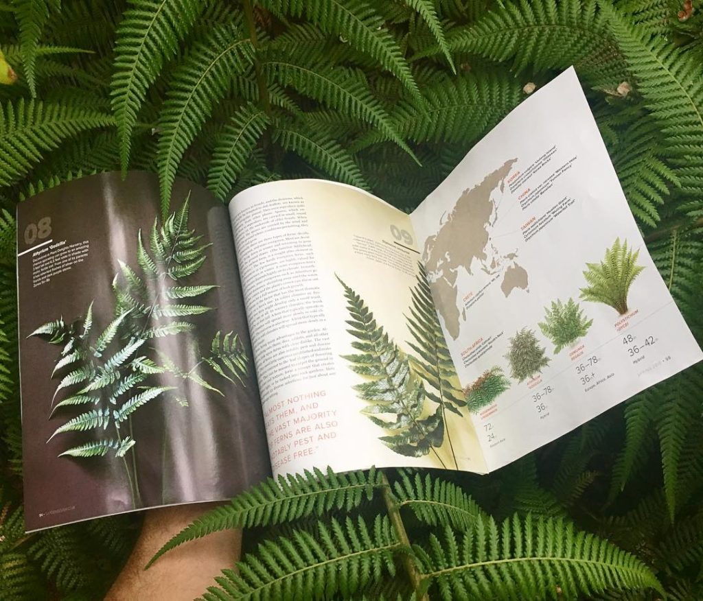 @thehorticult: We’re in awe of this #ferntastic 13-page spread in the latest issue of @gardende…