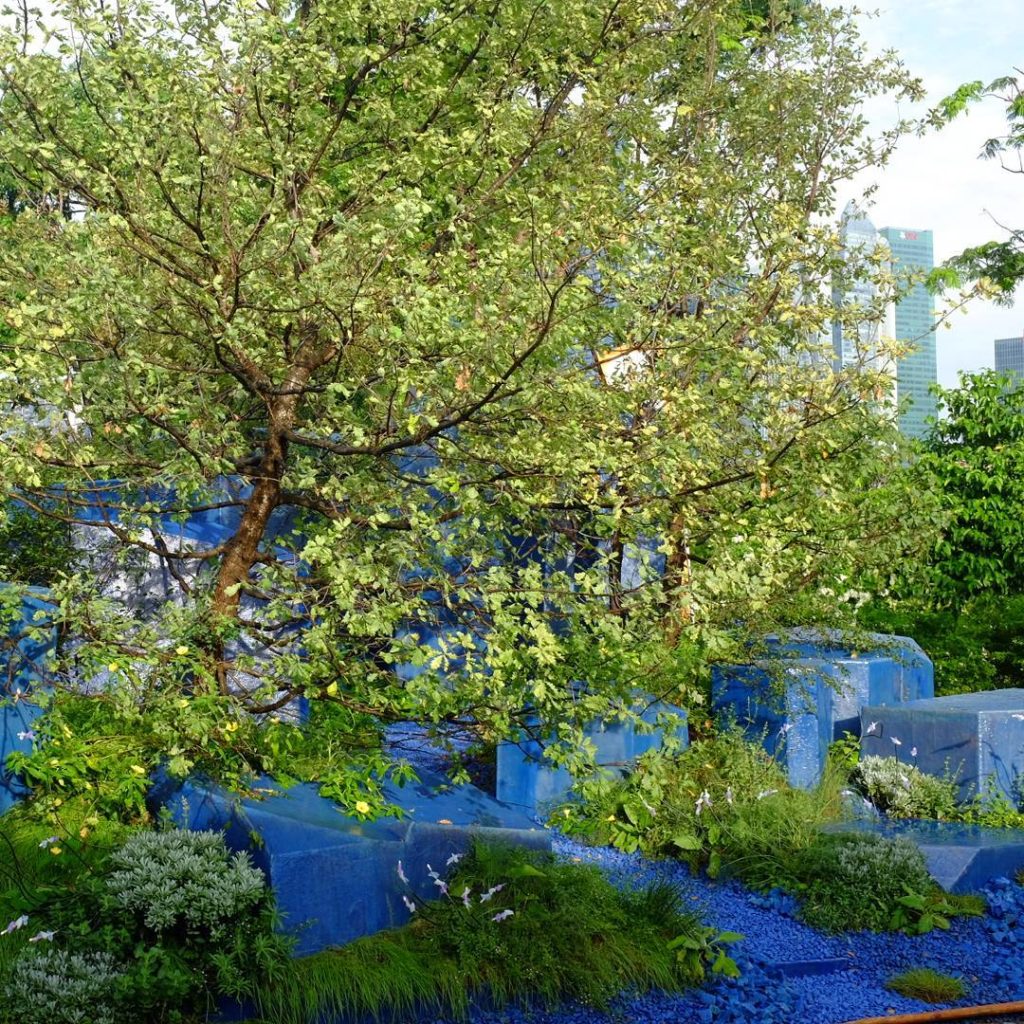 @jamesscapedesign: Scape design gets silver at the Singapore Garden Festival 2016. Thankyou to Mr G…