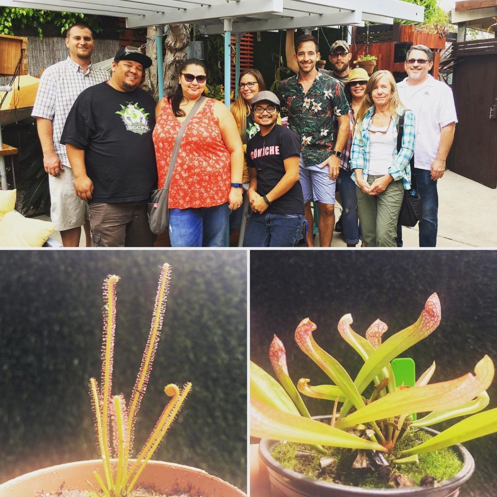 @thehorticult: Talked traps, cut some neps and learned how to kill off mealy bug infestations w…