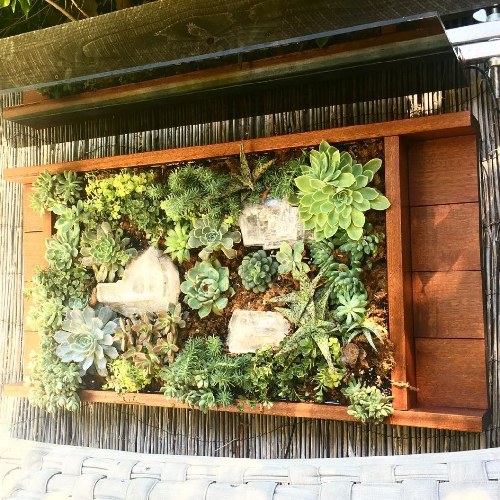 @thehorticult: Nightlight at dark Sun shade by day  We installed an adjustable acrylic visor ab…