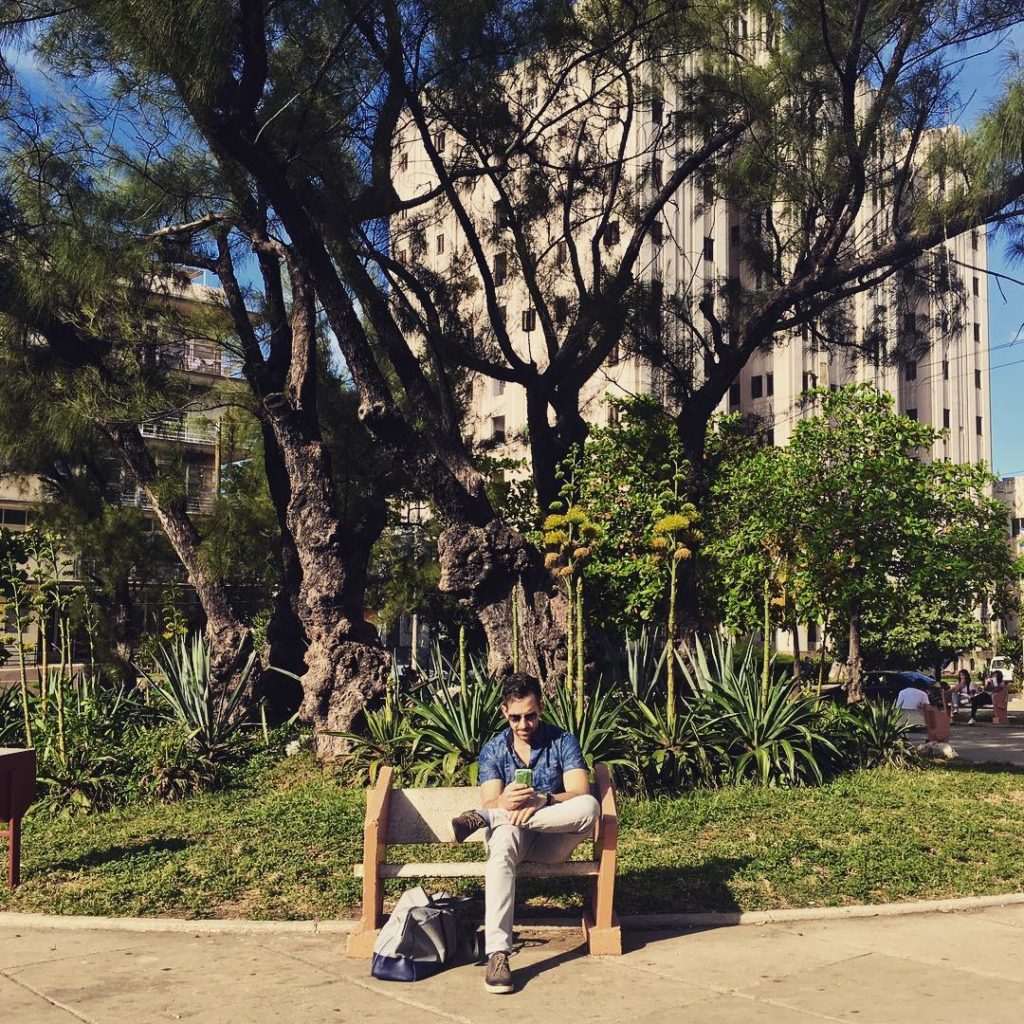 @thehorticult: Aloe there! In Cuba, the only places to get wifi are at select hotels and “wifi …