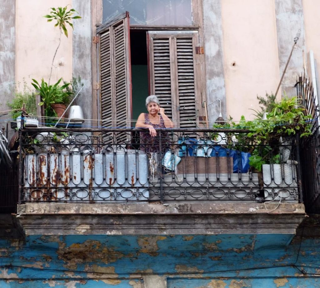 @thehorticult: As we wandered the historic streets of La Habana Vieja (Old Havana), it was fasc…