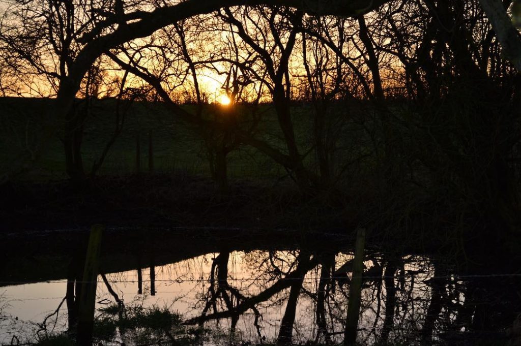 @richardmiers: Reflections on the day. I love using still water in a garden as it brings light …