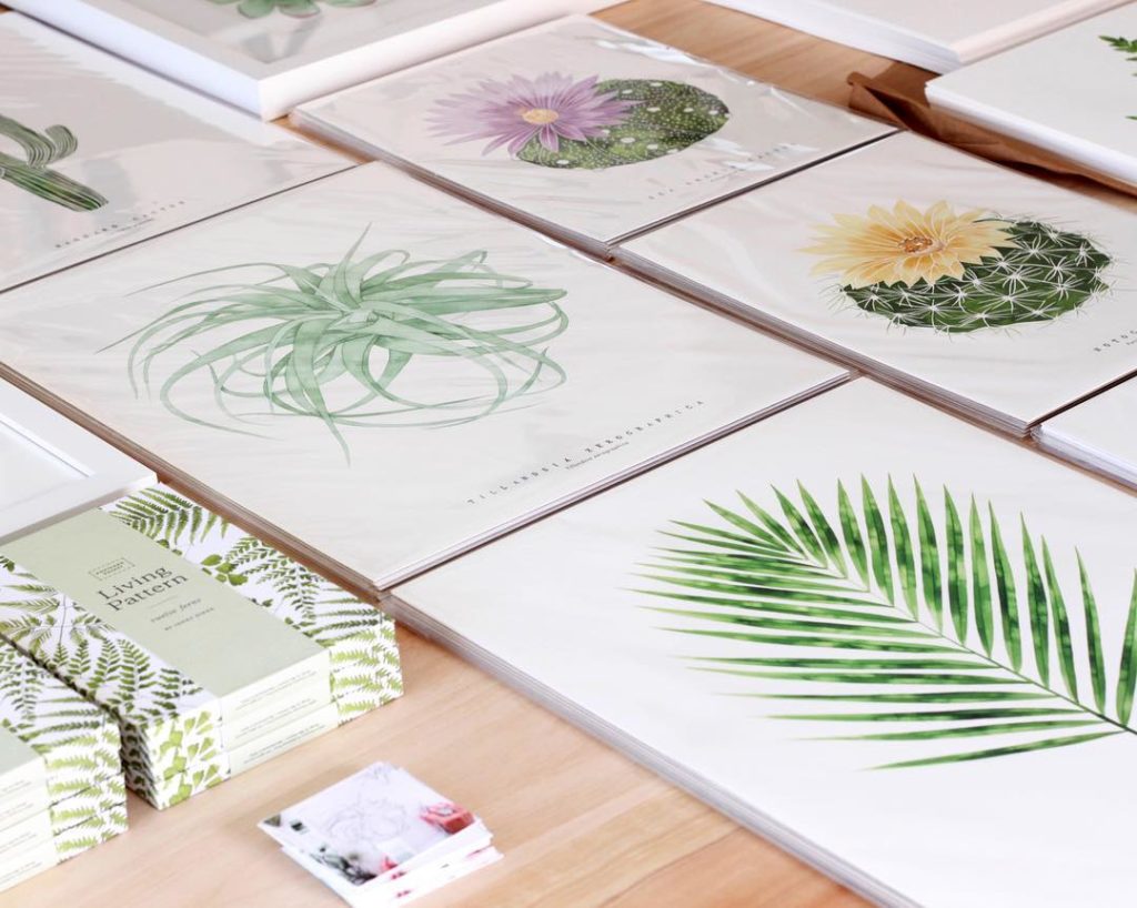 @livingpattern: Working on sketches for new Species Prints today. So far I have Pilea, Variegate…