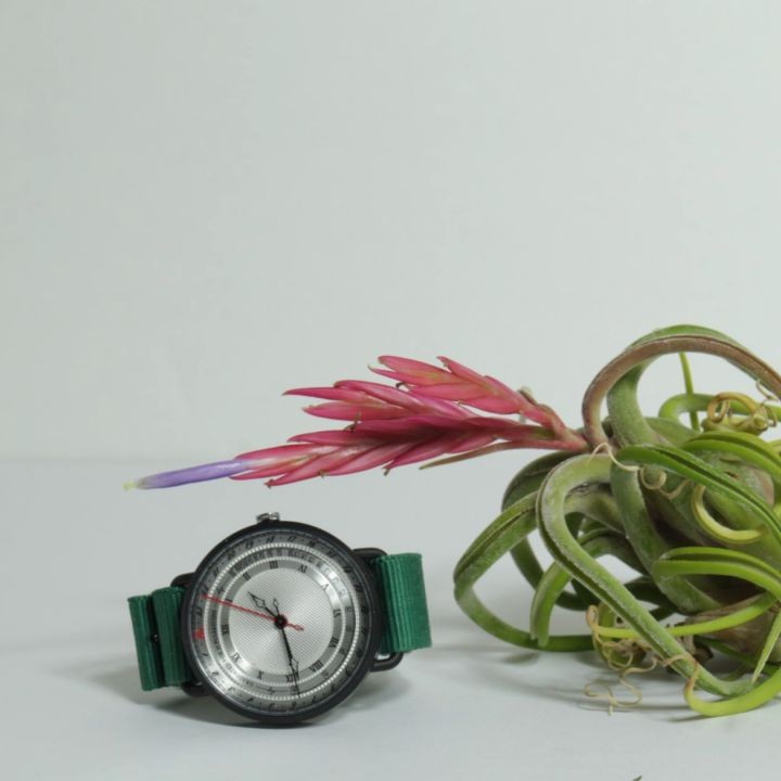 @houseplantjournal: Now on Kickstarter: a watch I’ve been using in my recent time lapses, designed b…