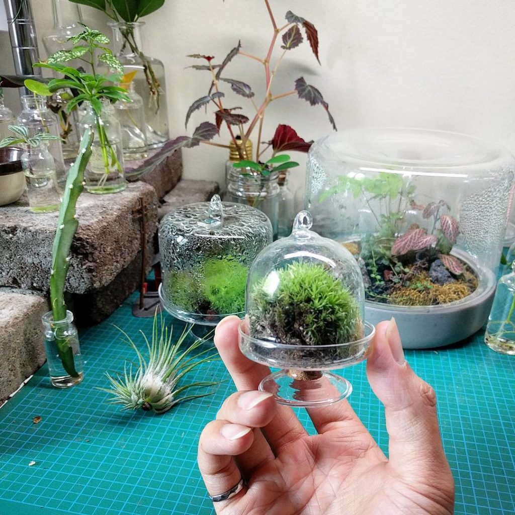 @houseplantjournal: Sneaking pics at the terrarium/moss mastermind, @teenytinyterra. Always amazed a…