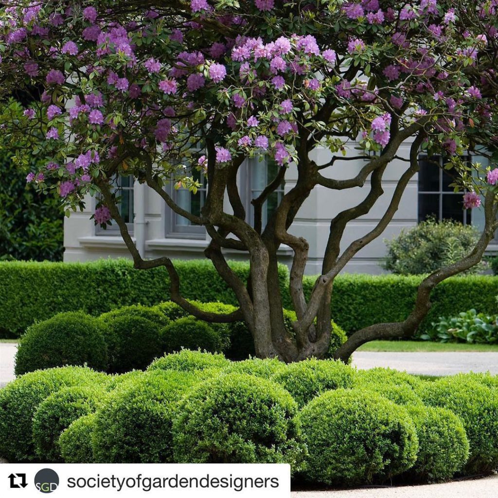 @richardmiers: So Richard Miers Garden Design can now add MSGD after our name. Very exciting. …