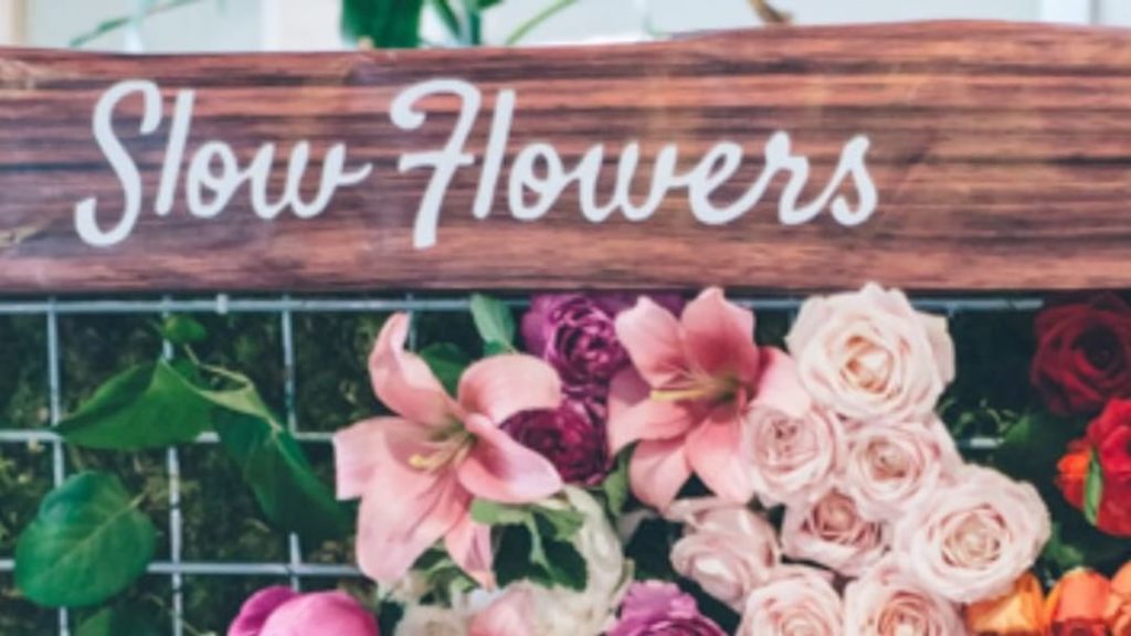 @thehorticult: It’s been a minute (okay, several minutes⏰ ) since we posted to the blog. But gu…