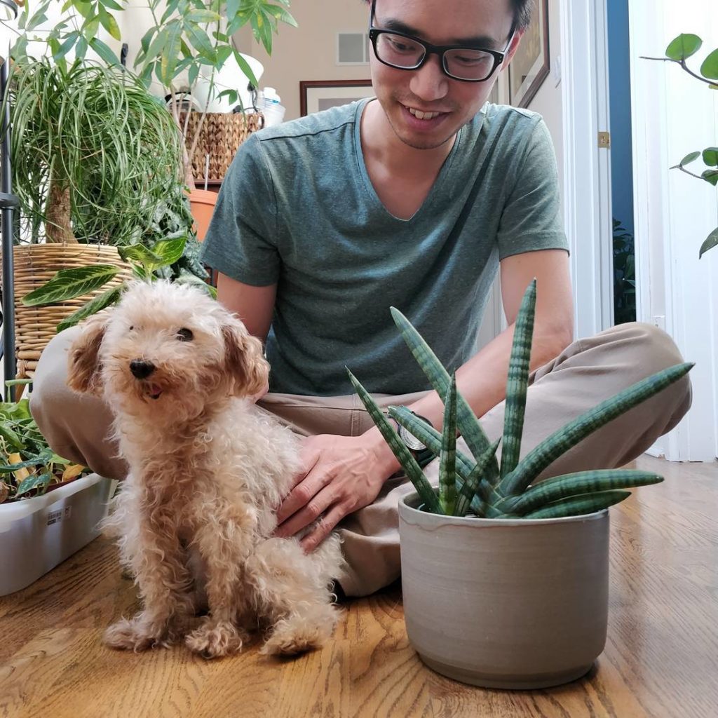 @houseplantjournal: Look who came to visit today – @teacupdisco & @finwatches
~
~
#sansevieria #hous…