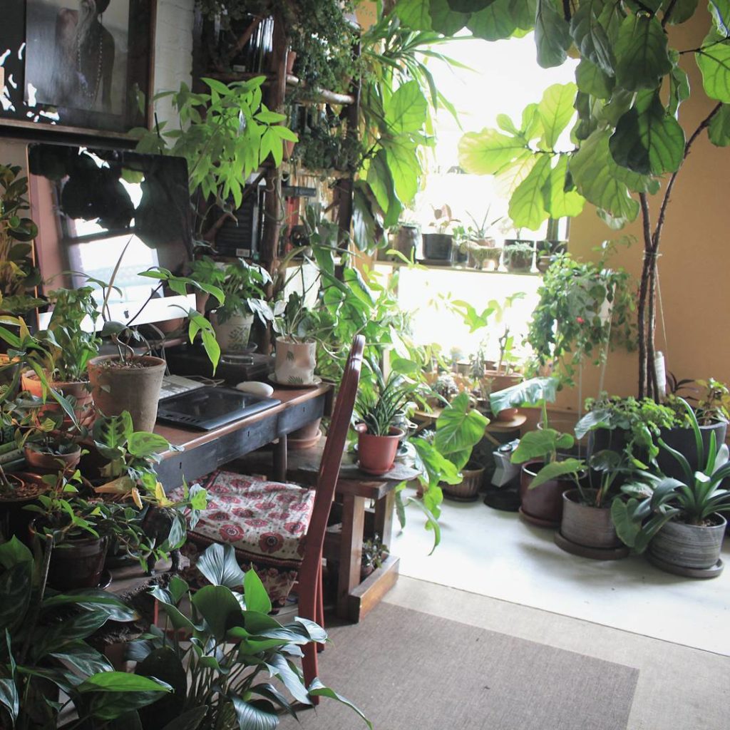 @houseplantjournal: #fbf there’s a workspace in this jungle (home of Summer Rayne Oakes @homesteadbr…