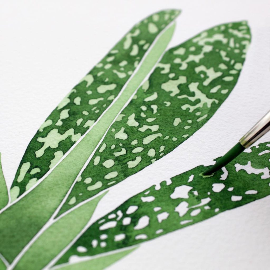 @livingpattern: Orchids. They might make me even happier than Philodendrons do, and that says a …