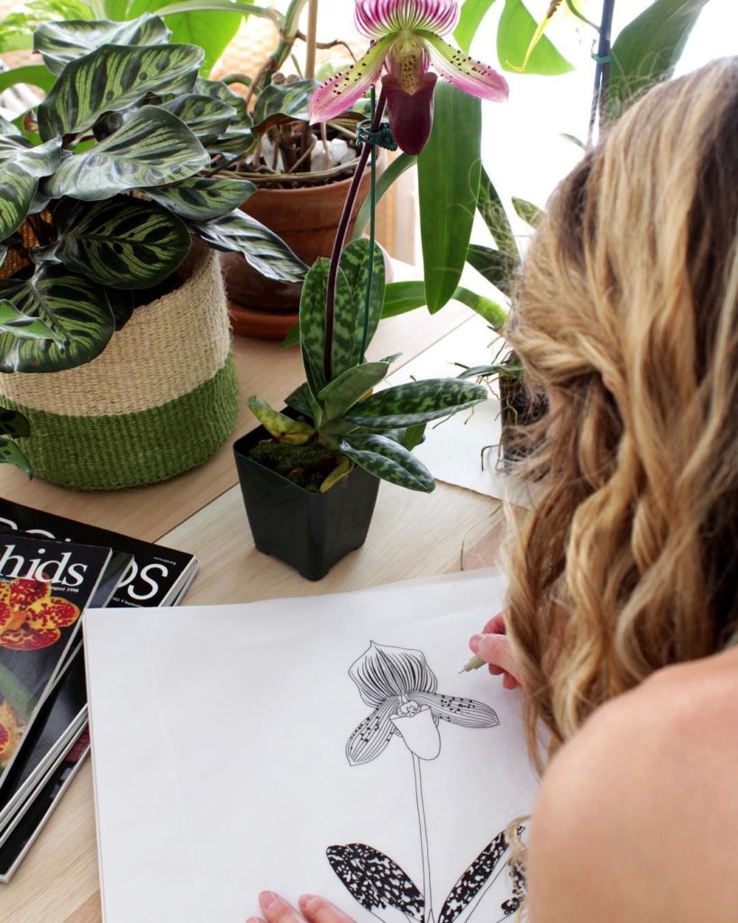 @livingpattern: My new favorite, a Paphiopedilum I picked up at an orchid show yesterday. Dying …