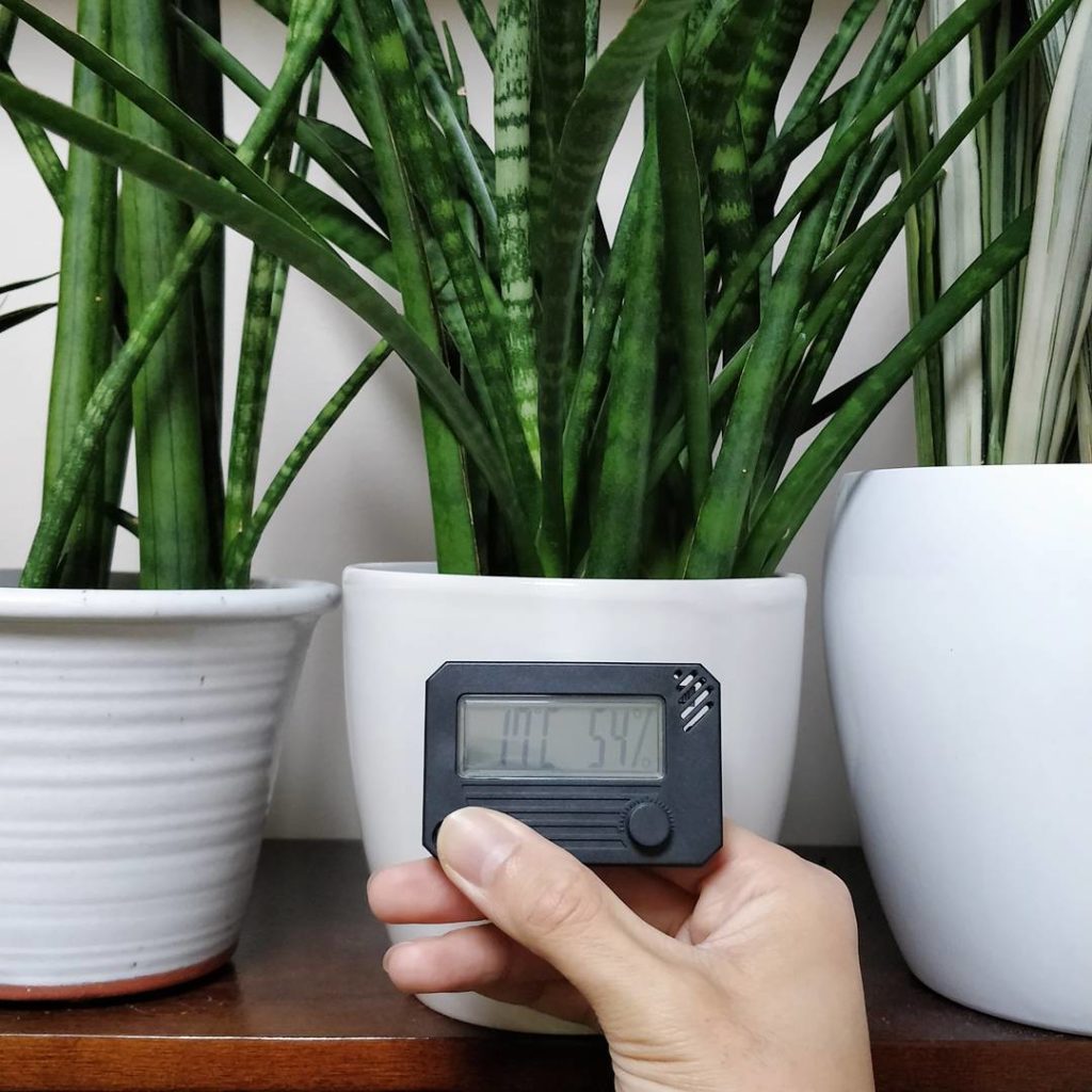 @houseplantjournal: No heat but the plants will be fine. Getting the furnace fixed ASAP
~
~
#housep…