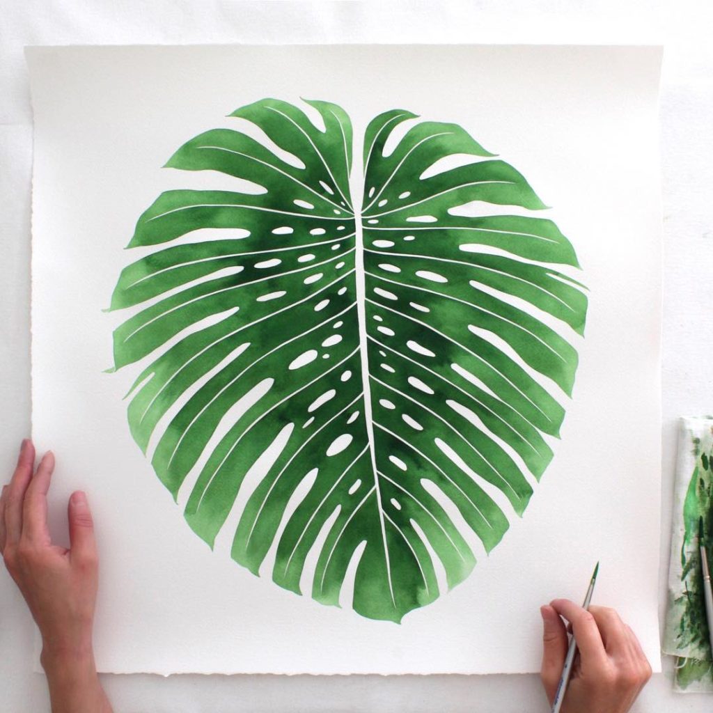 @livingpattern: Just finished painting this Monstera deliciosa leaf, sketched forever yesterday …
