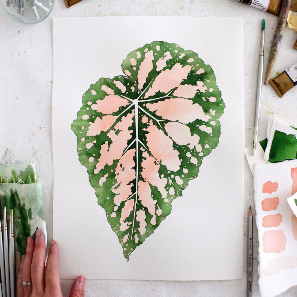 @livingpattern: Been trying to post more but my hands have been so full with preparing a lot of …