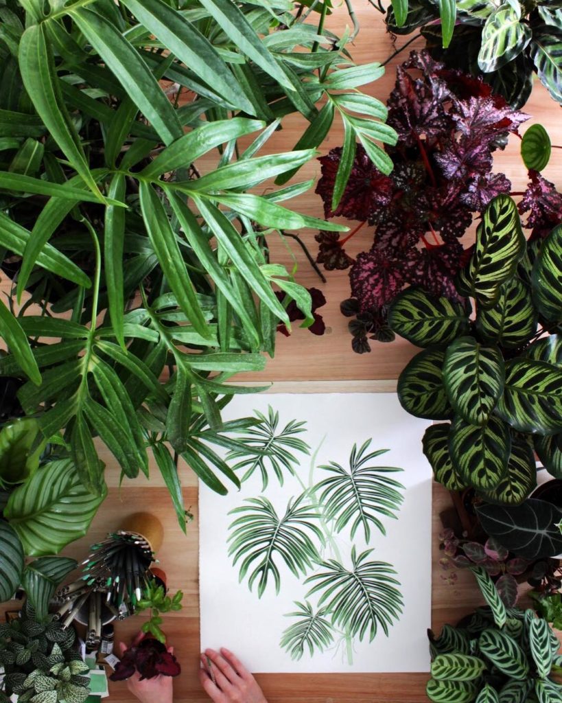 @livingpattern: Time for some plant shelving in here, it’s getting packed! So in love with the p…