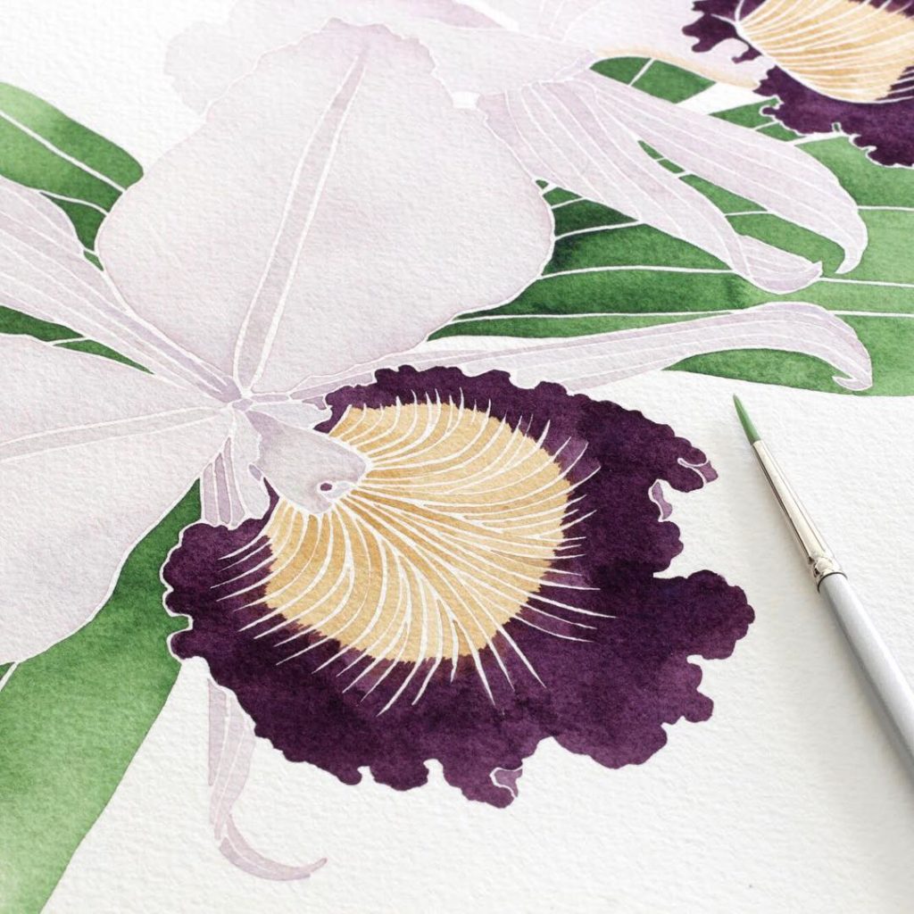 @livingpattern: g i v e a w a y time!!  I just released new prints and I’ve got 2 Laeliocattleya…