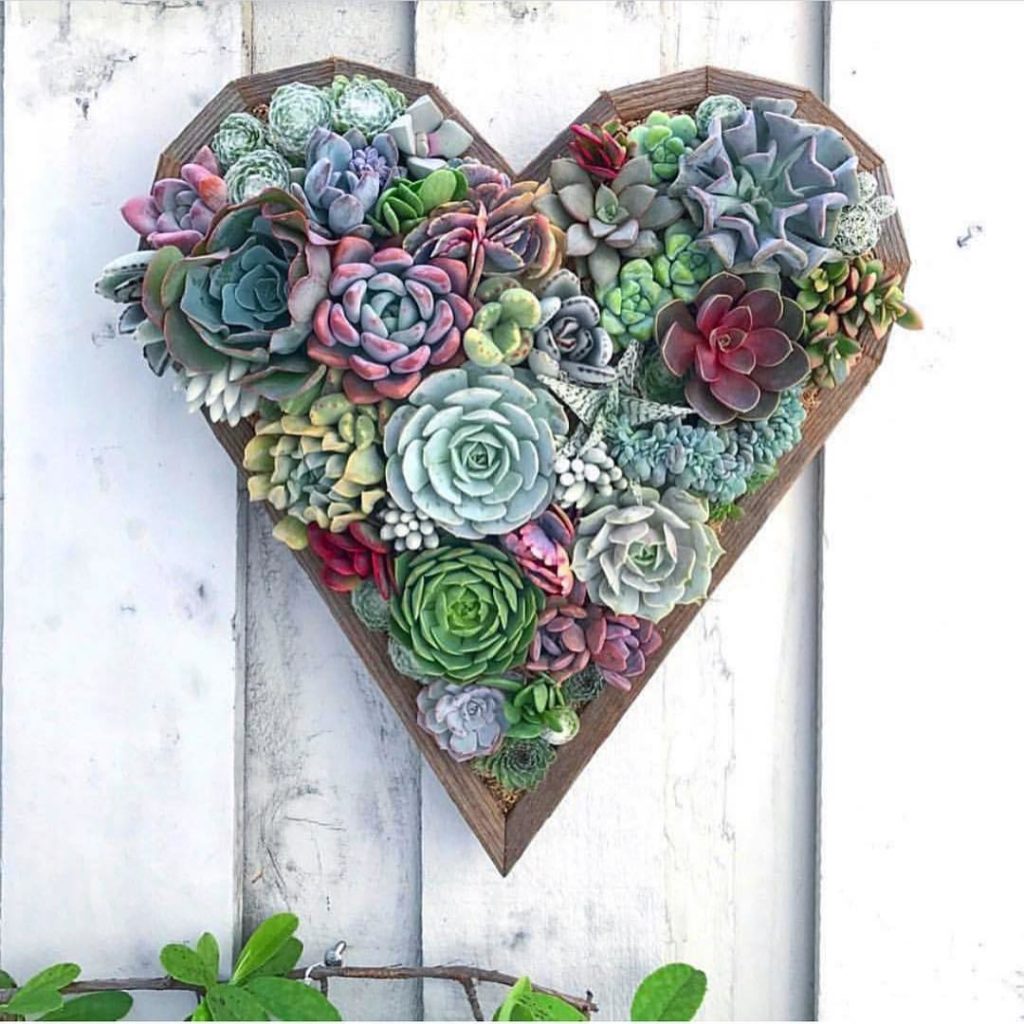 @fairyblooms: GIVEAWAY CLOSED: (Our winner has been selected and we sent them a DM. Thank you …