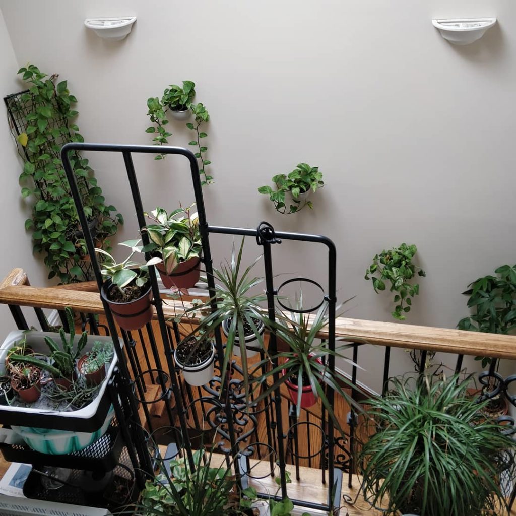 @houseplantjournal: Question: I’m curious to know what your idea of “overwatering” is. Be as specifi…