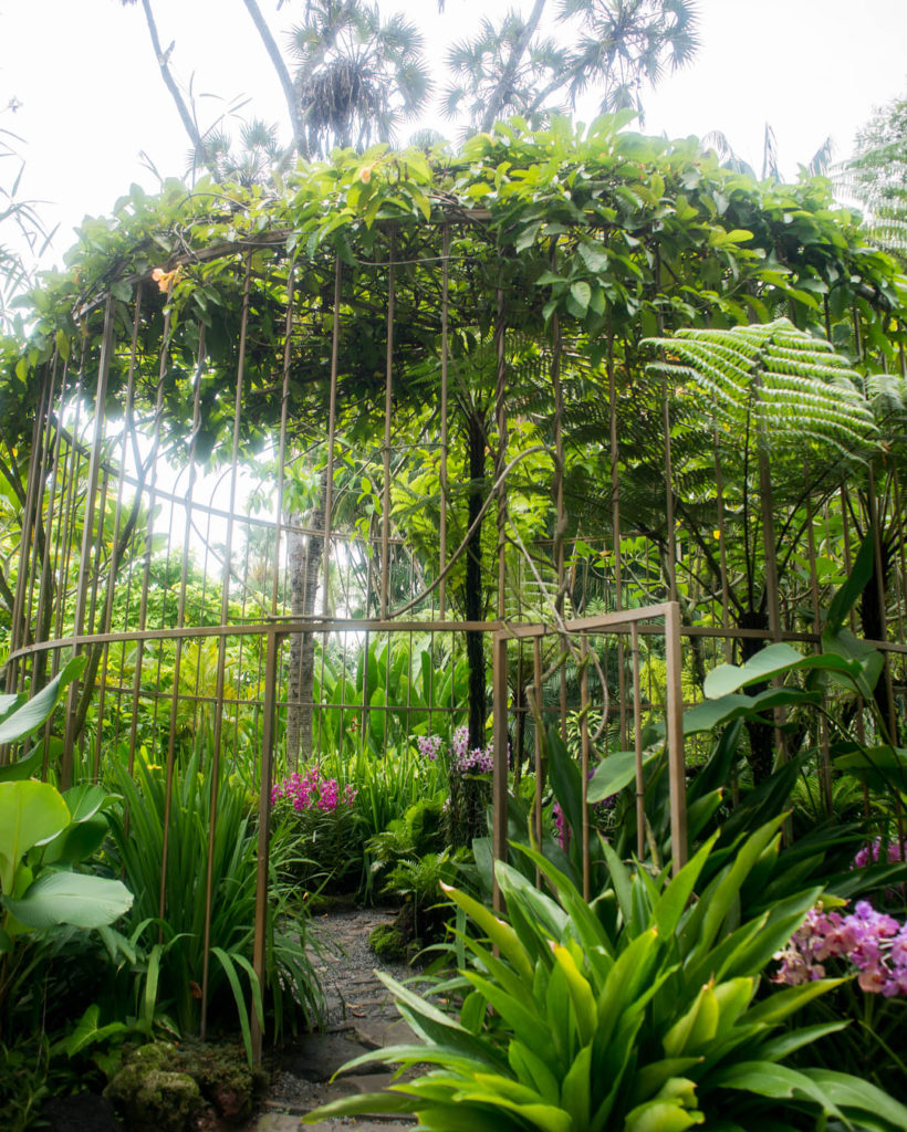 @thehorticult: When the giant bird cage orchidarium door is open, you enter #TBT to 2015 and o…