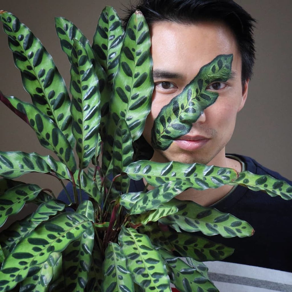 @houseplantjournal: If you’re ready to move beyond basic aesthetic appreciation of plants and to exp…