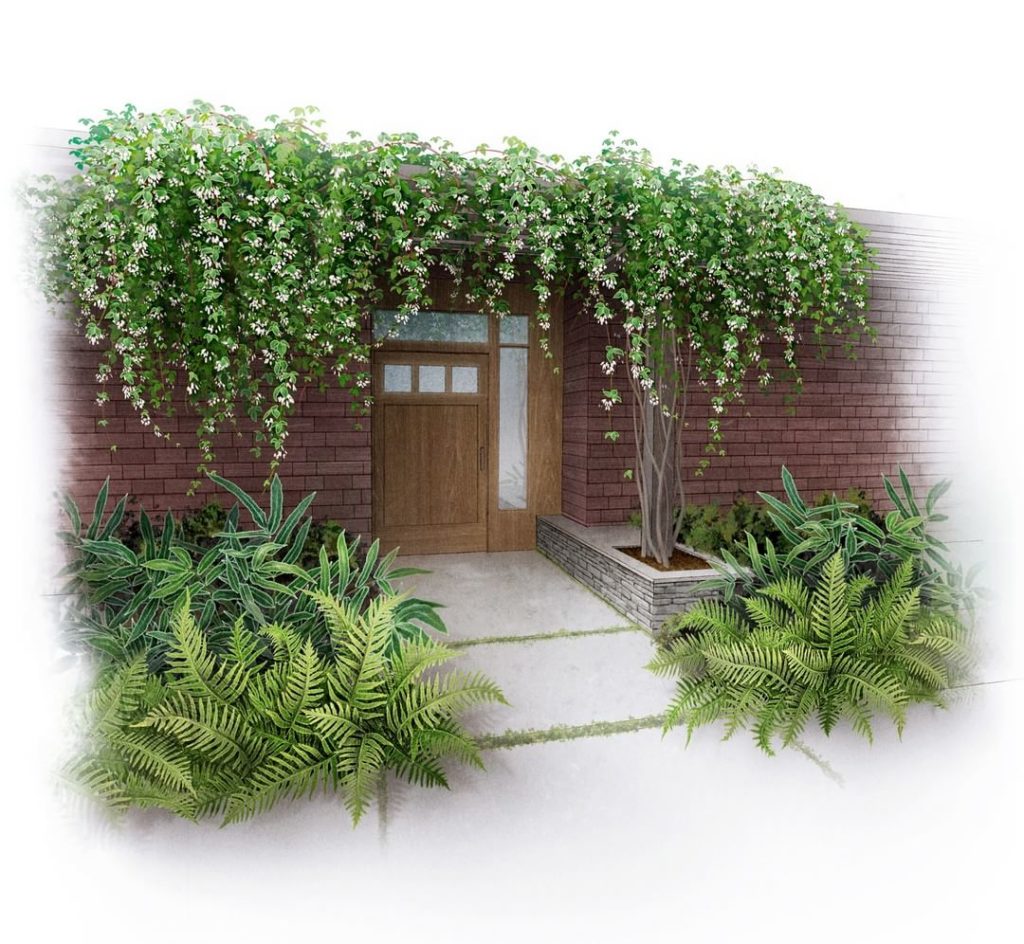 @gardendesignmag: In the mountains of Vietnam, Dan Hinkley discovers a hardy vine with fabulous fl…