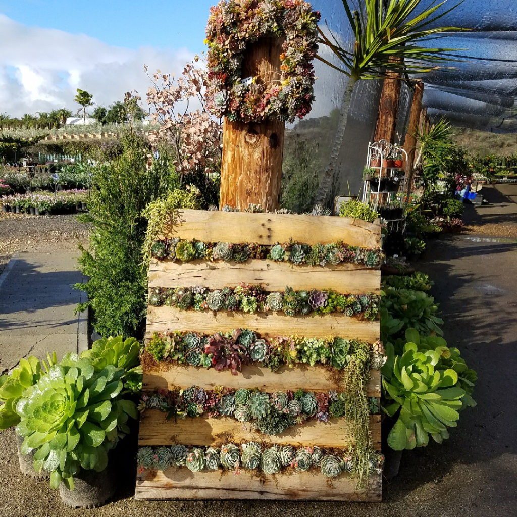 @gardendesignmag: It’s shaping up to be a beautiful day at @waterwisebotanicals! We’re here at the…