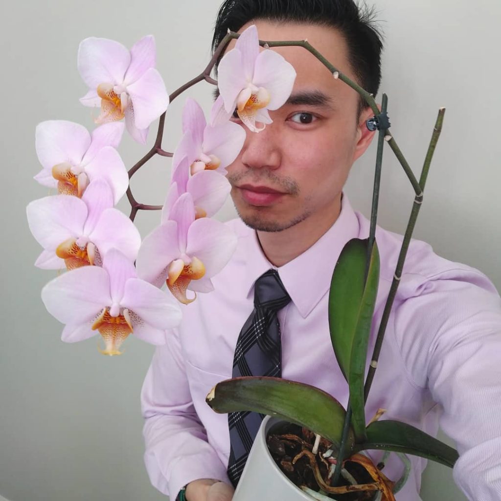 @houseplantjournal: Yesterday’s dress shirt matching my in-law’s orchids.
–
 2) their orchid grow sp…