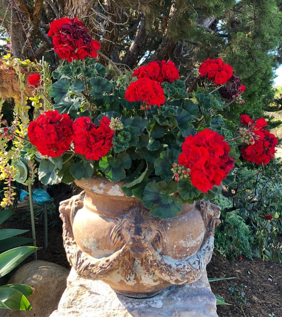 @gardendesignmag: Are you in a garden club, plant society, or master gardener association? We want…