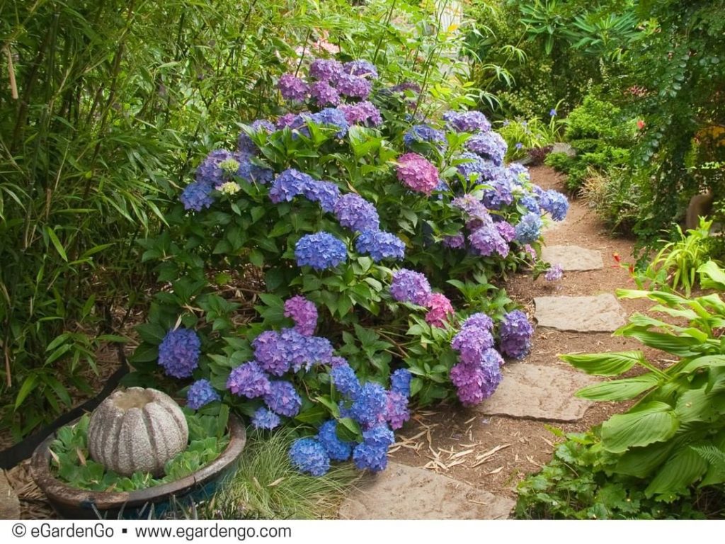 @gardendesignmag: If you love plants and flowers, make sure you bookmark @egardengo_app website (e…