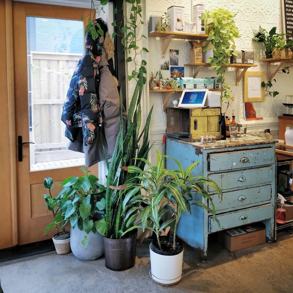 @houseplantjournal: Dear plants, welcome to your new home at @northsideespresso – you’ll be surround…