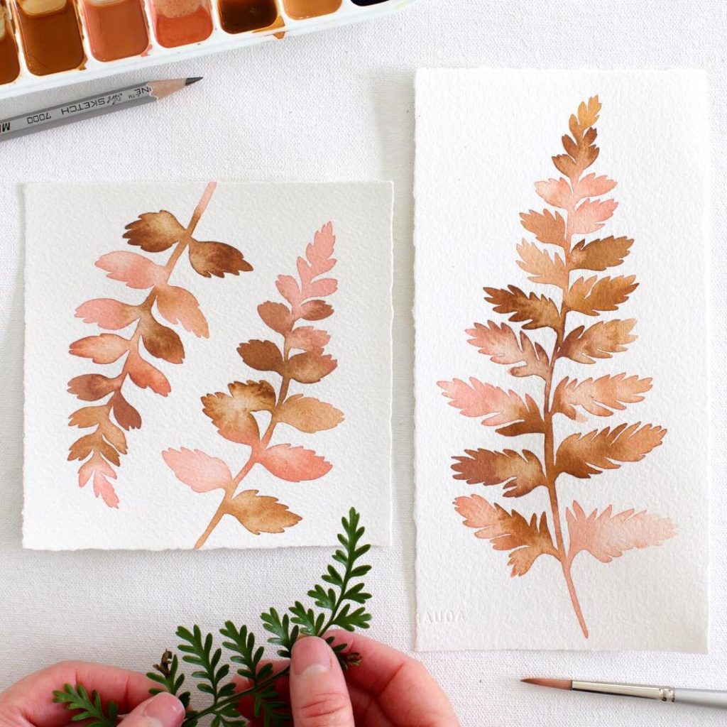 @livingpattern: Austral Gem Fern in my favorite peach and amber ombré. Do you guys like these? G…