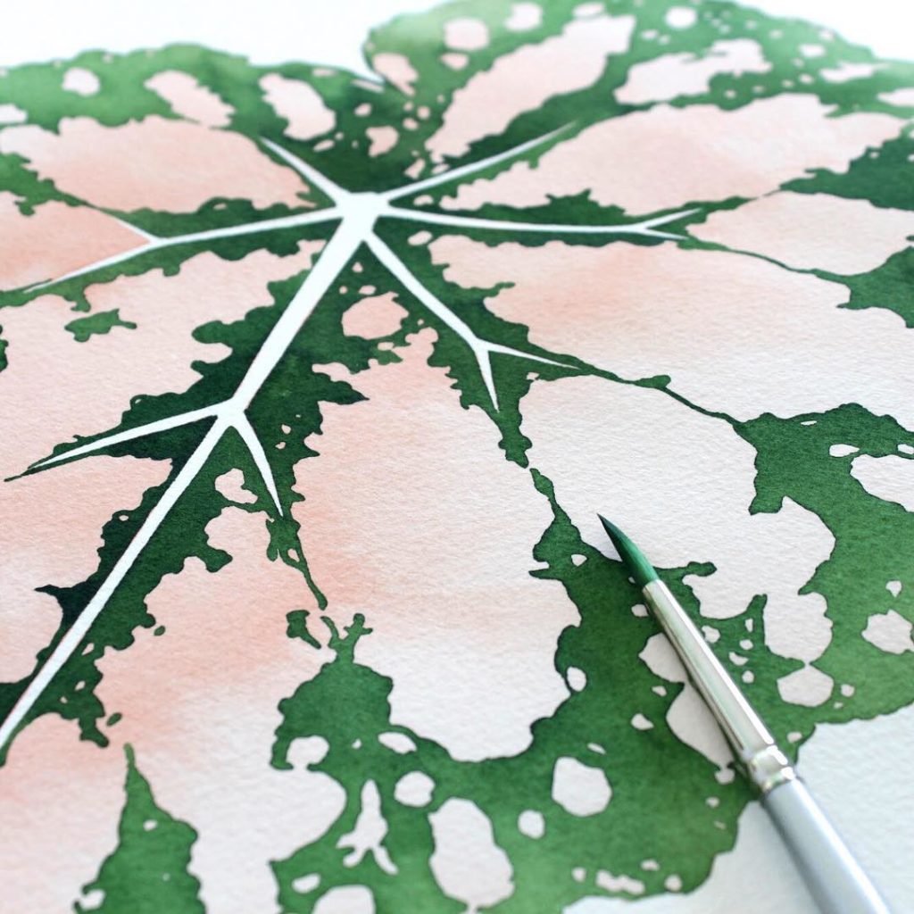 @livingpattern: Just a few of these Jungle Peach Begonias left, thank you guys for all the order…