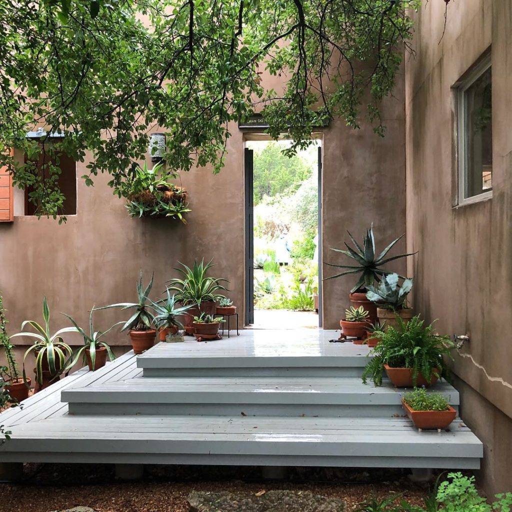 @gardendesignmag: “A GARDENER MUST DO THIS EVERY DAY: Every morning, before the heat of the day se…