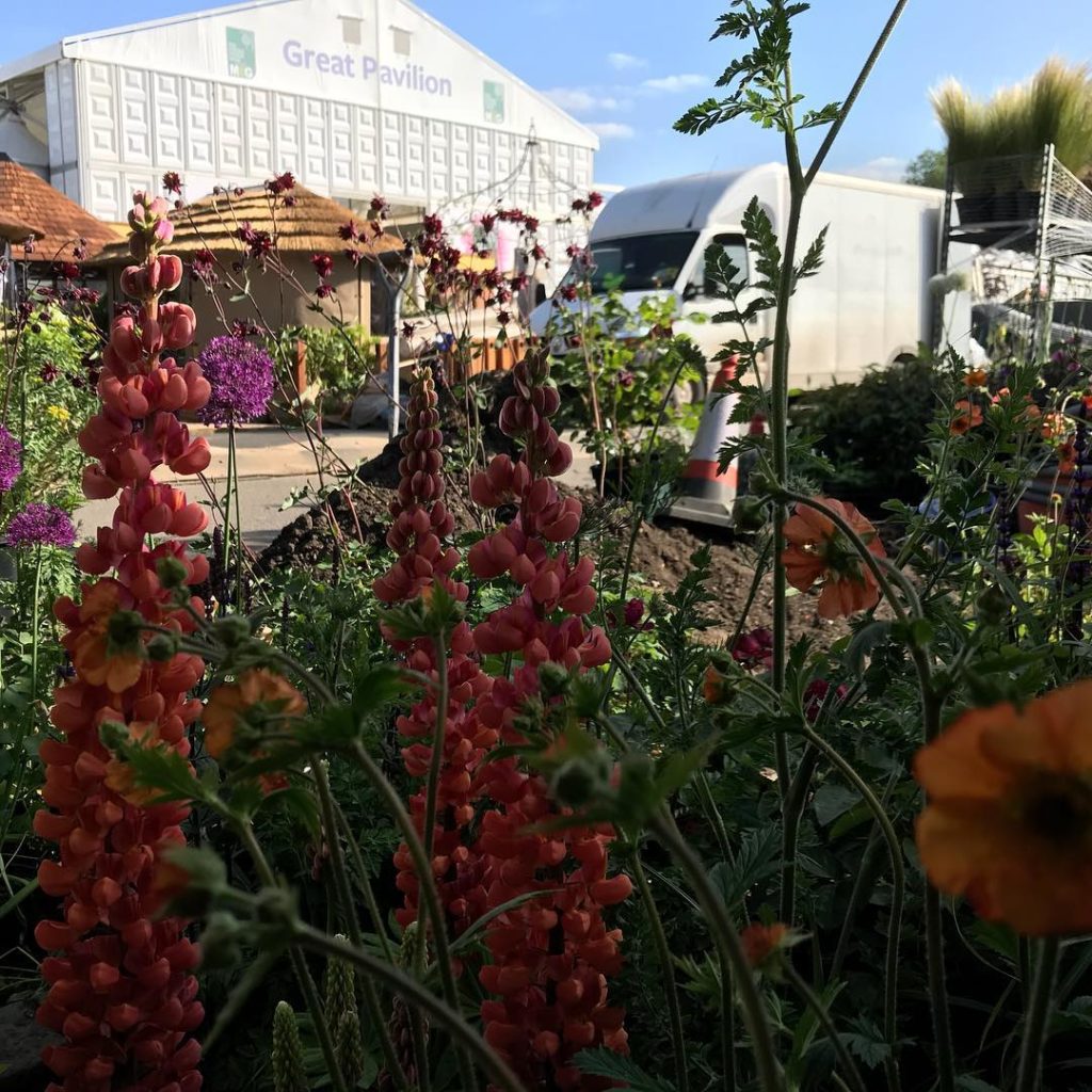 @kategouldgardens: Stuck in a planting hole and noticing (for good or bad) that the planting I hav…