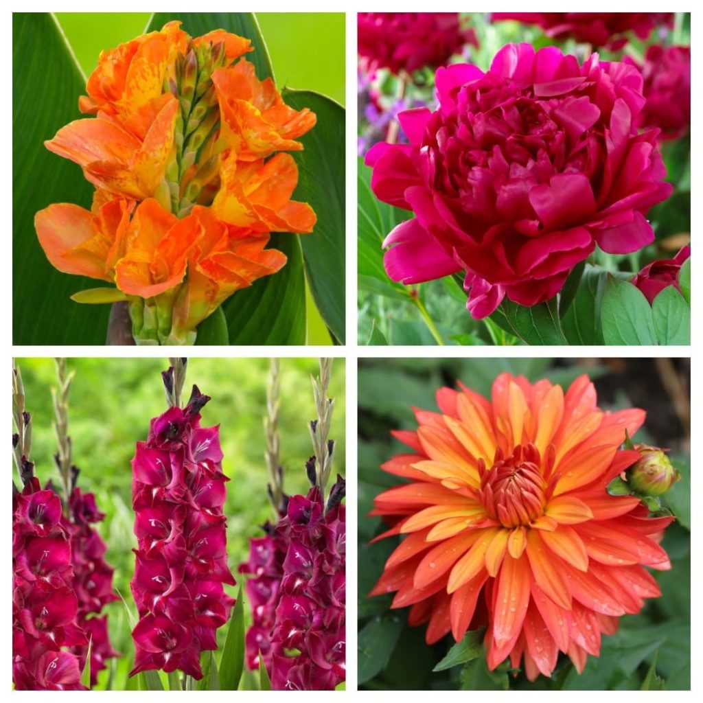 @gardendesignmag: Can you imagine your garden filled with beauties like these?! We’re giving away …