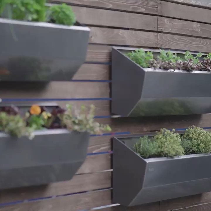 @gardendesignmag: Want to go vertical? Learn how to install and irrigate the incredible Leo Wall p…