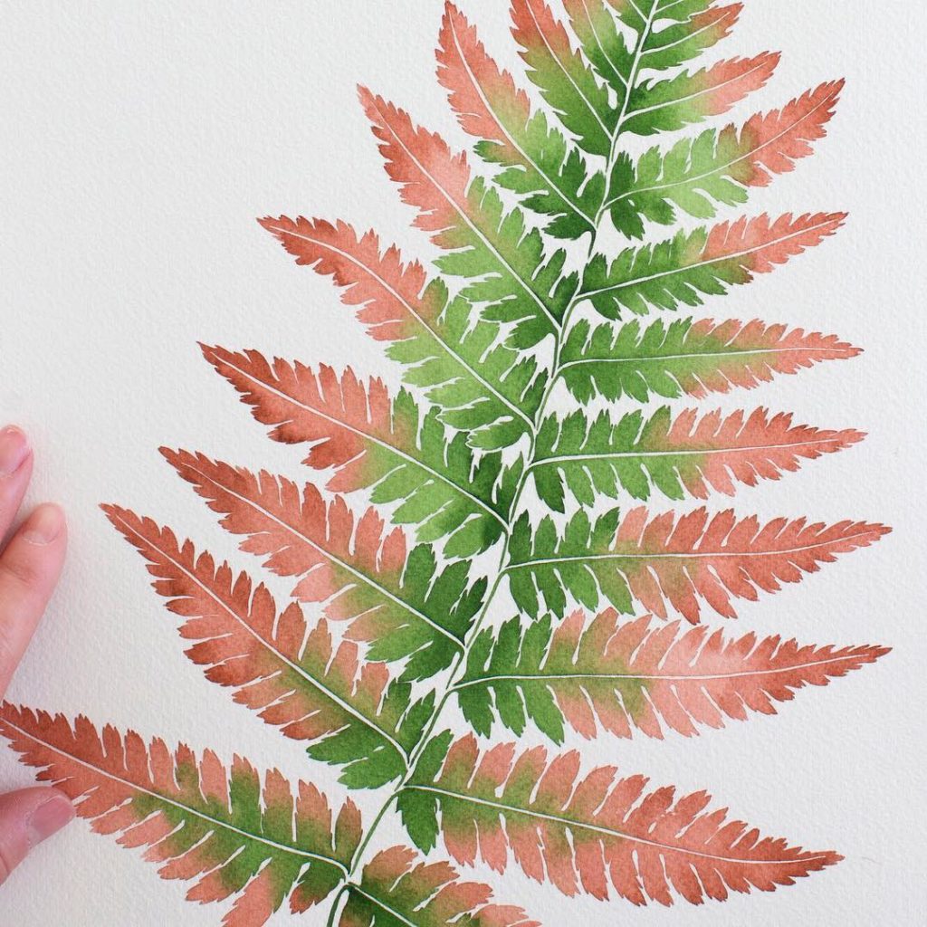 @livingpattern: Color changing Autumn Fern, the trick was having the paint barely wet where the …