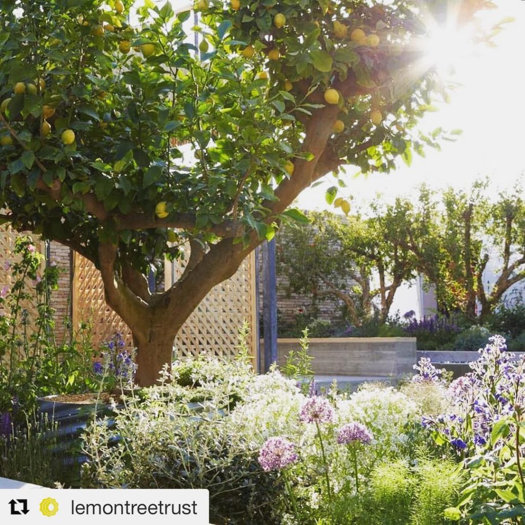 @tommasseyuk: #Repost – The BBC RHS People’s Choice Award voting is open – but you’ll have to …