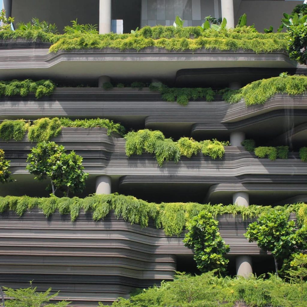 @houseplantjournal: “Amazing!”
“That’s the parking garage”
“AMAZING!” x 1000
–
#tbt when I visited S…