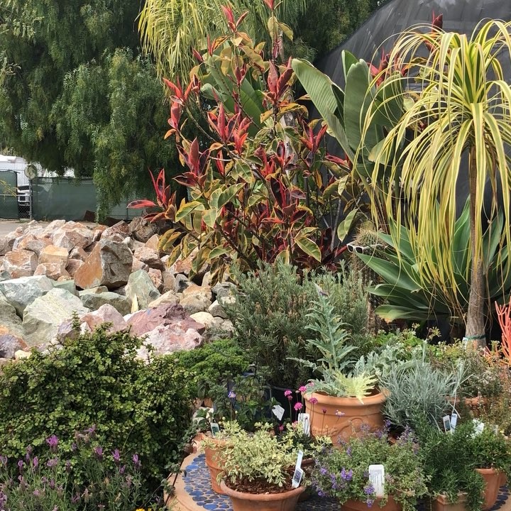 @gardendesignmag: Caution: this may cause serious pangs of envy to plant geeks. Take a walk throug…