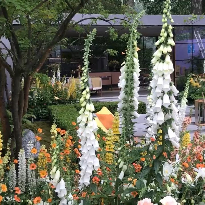 @gardendesignmag: What you think of the color scheme in this garden?
.
Chelsea Award winner! LG Ec…