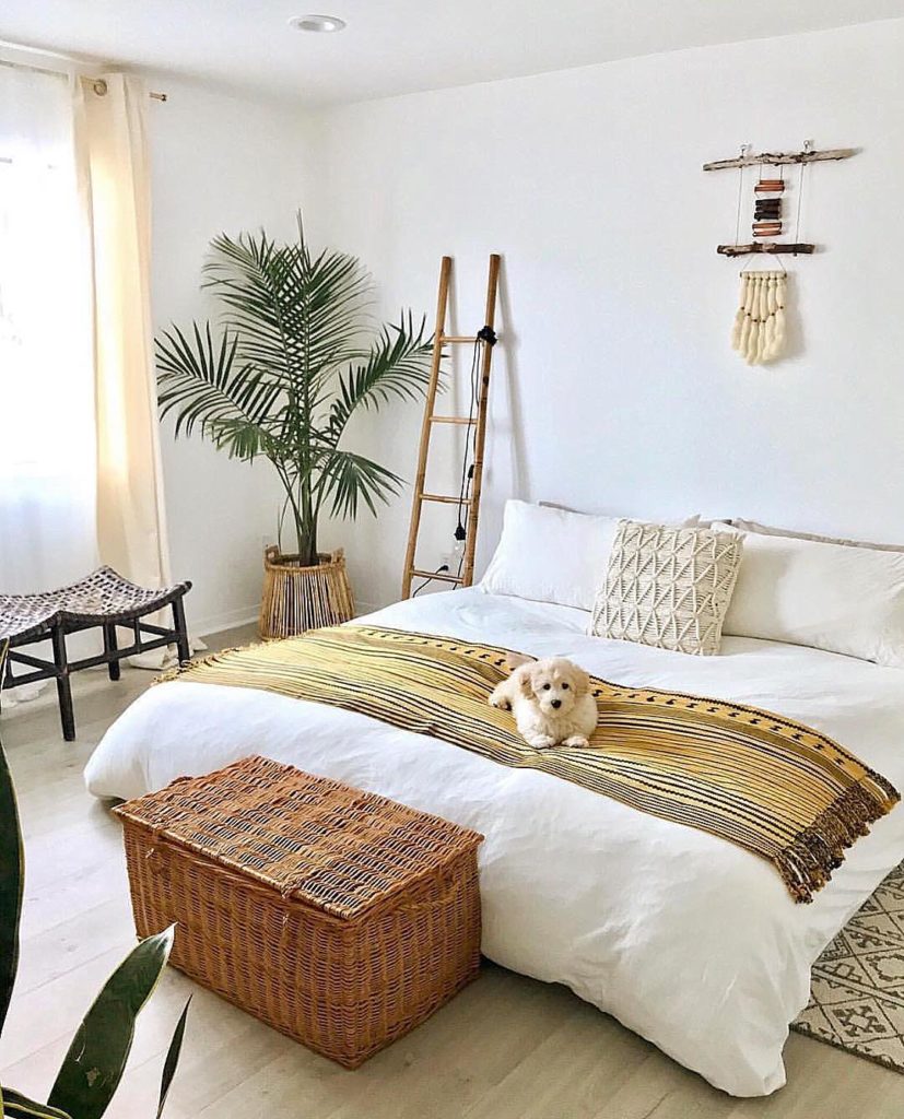 @thesill: Have you heard of our #PlantParentClub?
🤗 As a member, you will receive access t…