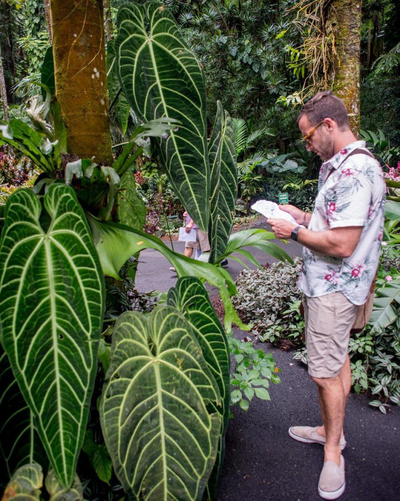 @thehorticult: Flashing back to warmer temps at Hawaii Tropical Botanical Garden on the #bigisl…