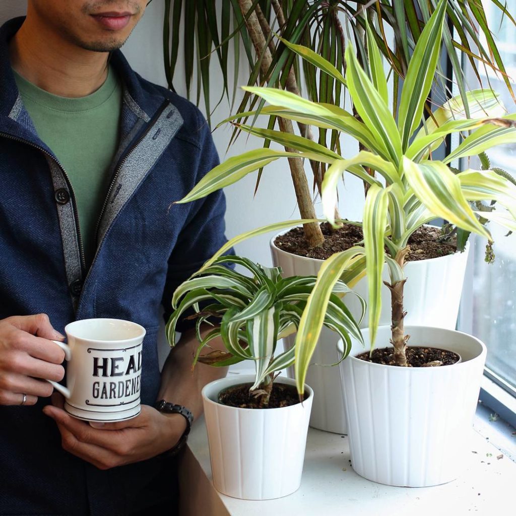 @houseplantjournal: ‘Head Gardener’ at the office made official by mug – my coworkers are the best! …
