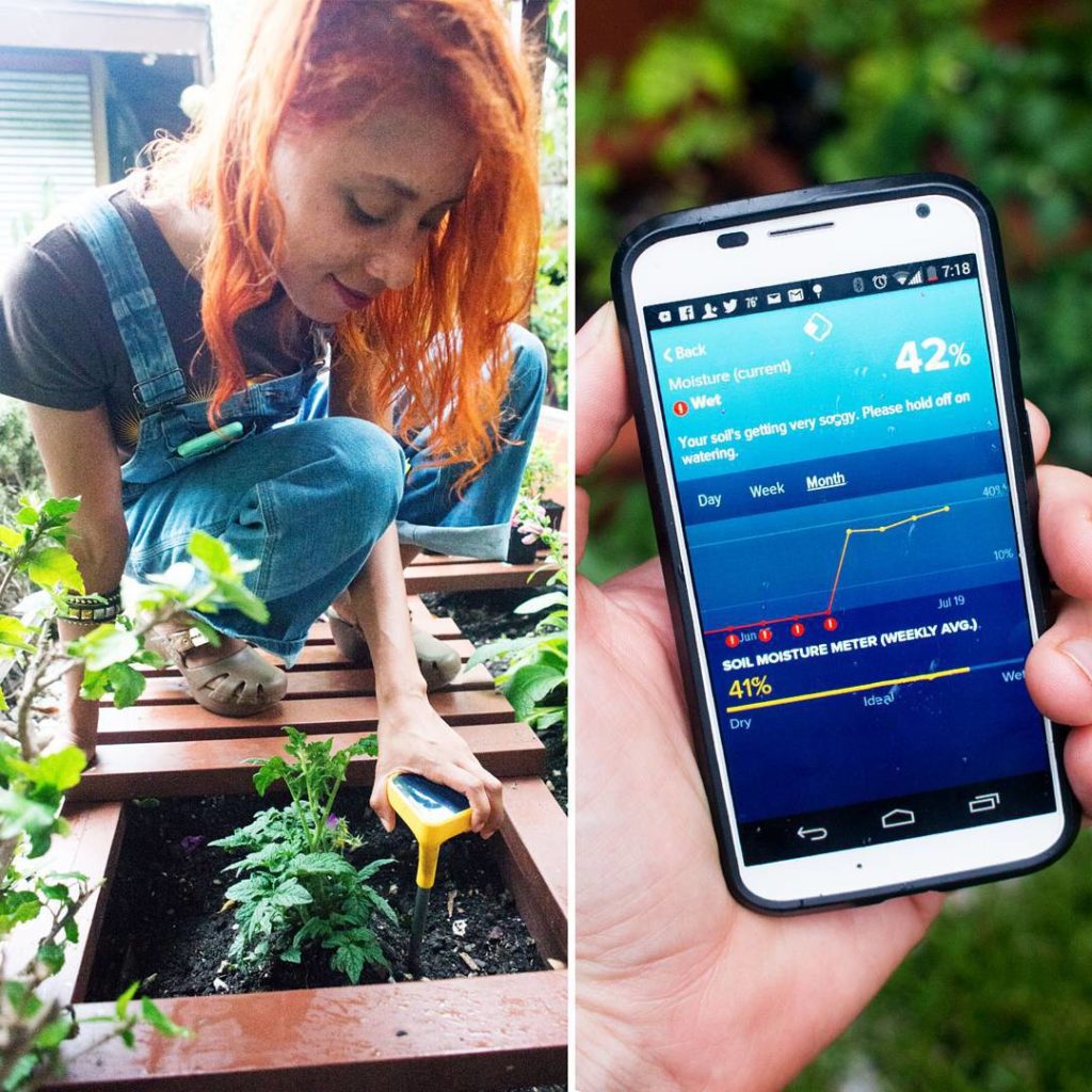 @thehorticult: Well, we suspected our soil was too soggy…and the @Edyn_Garden sensor confirme…
