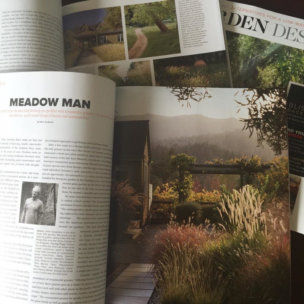 @gardendesignmag: “Alive with rhythmic movement, catching both wind and light” Meadow Man aka John…