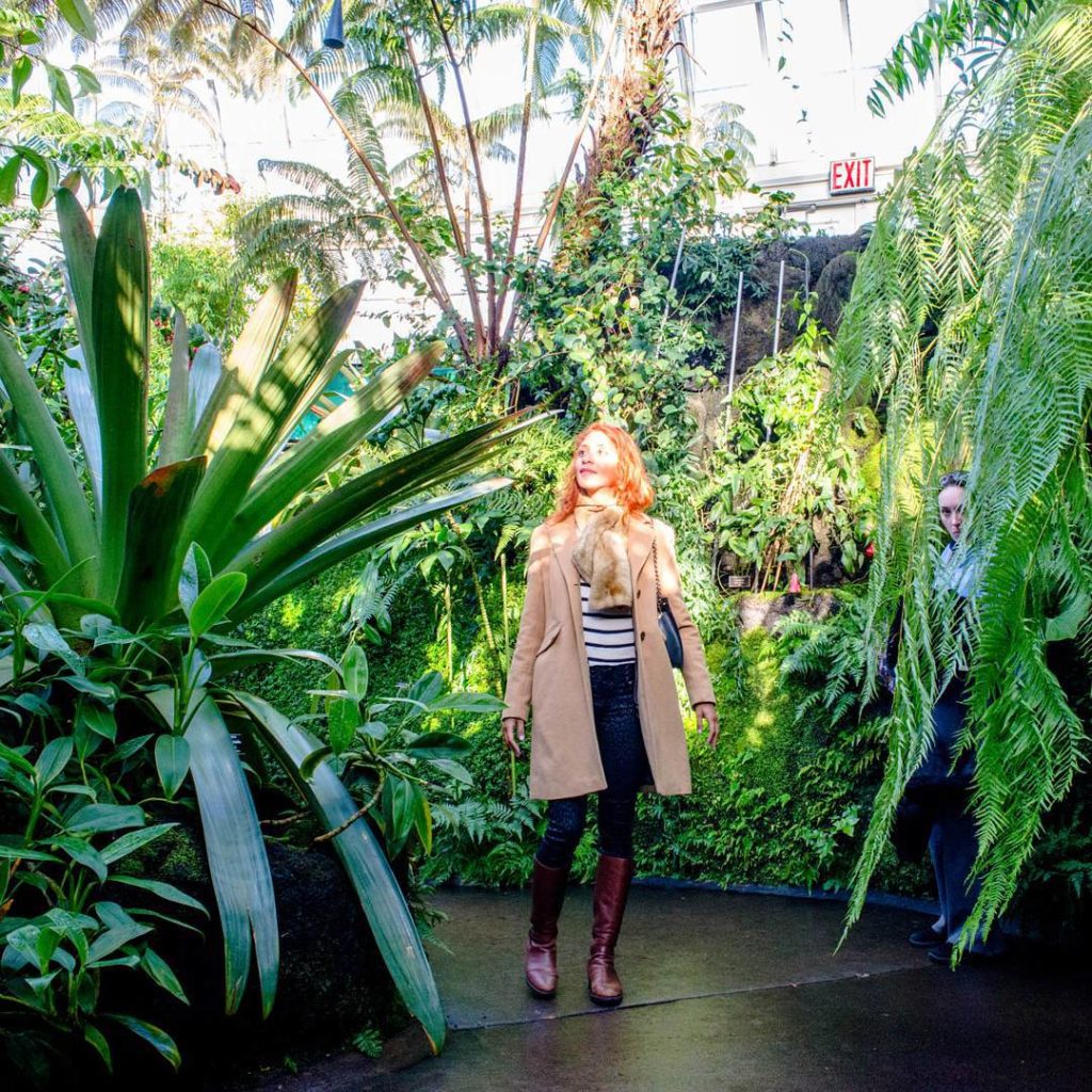 @thehorticult: #TBT to earlier this year when we visited @nybg. Check out this Imperial bromeli…